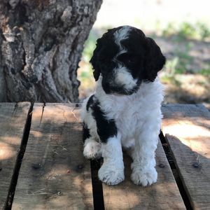 Meet your Posher, Jack